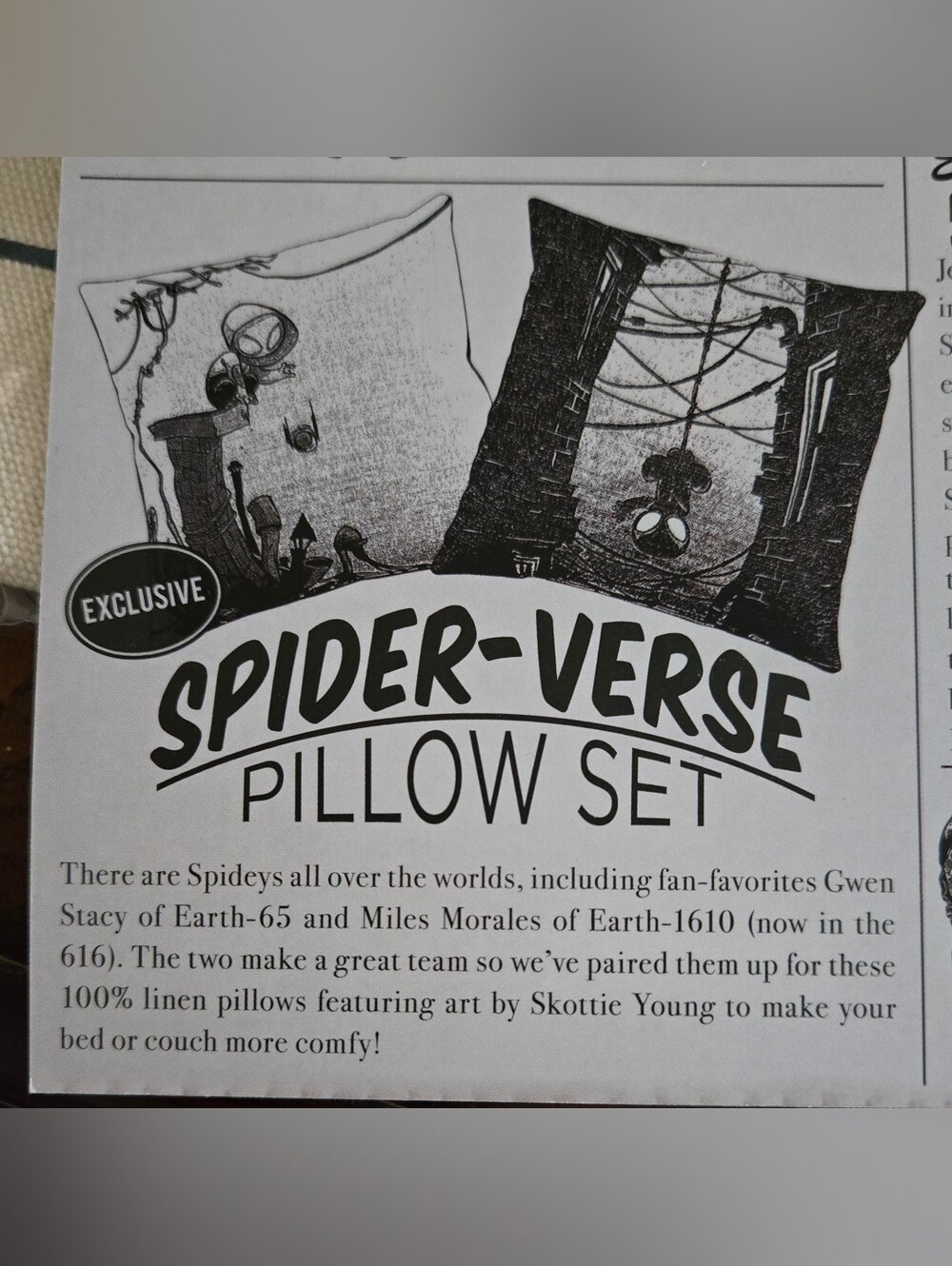NEW - 2 Loot Crate Marvel Spider-Verse Pillows